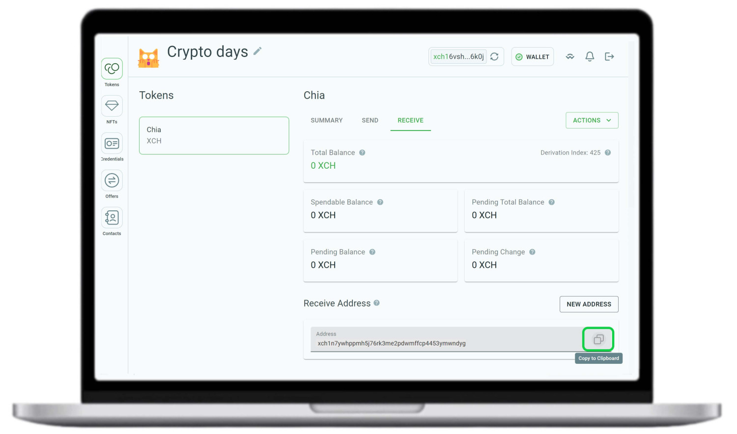 Адрес для депозита XCH